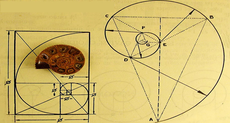 ТЕХНИЧЕСКИЙ АНАЛИЗ — УРОВНИ ФИБОНАЧЧИ