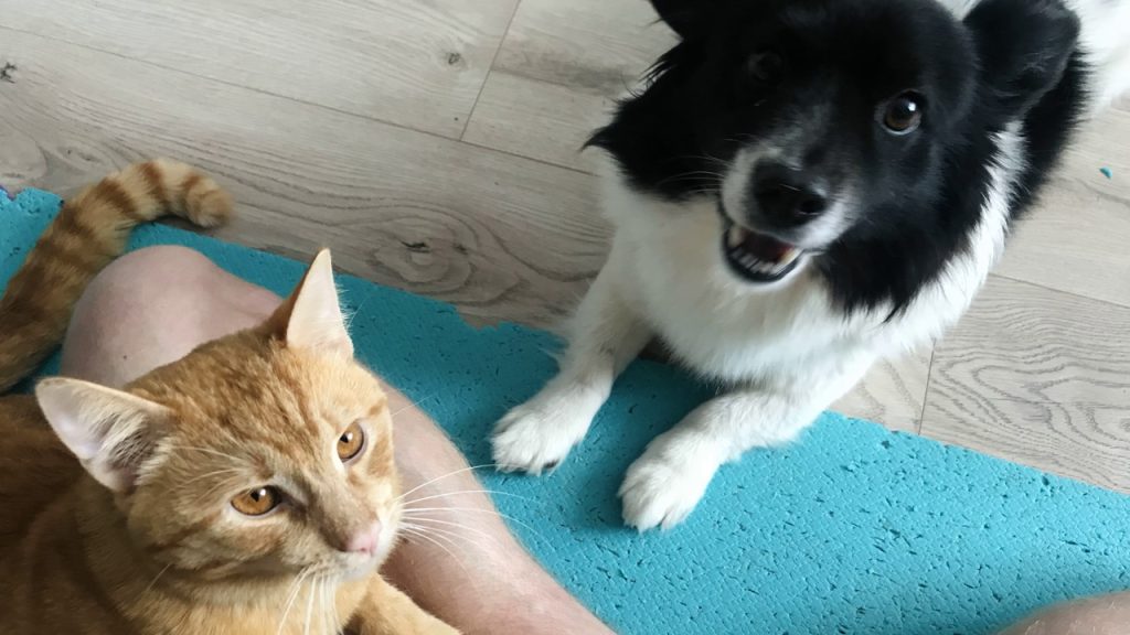 Аналитический форекс стрим 27 марта 2023