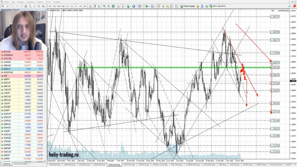 Прогноз форекс на 7 — 8 декабря 2023