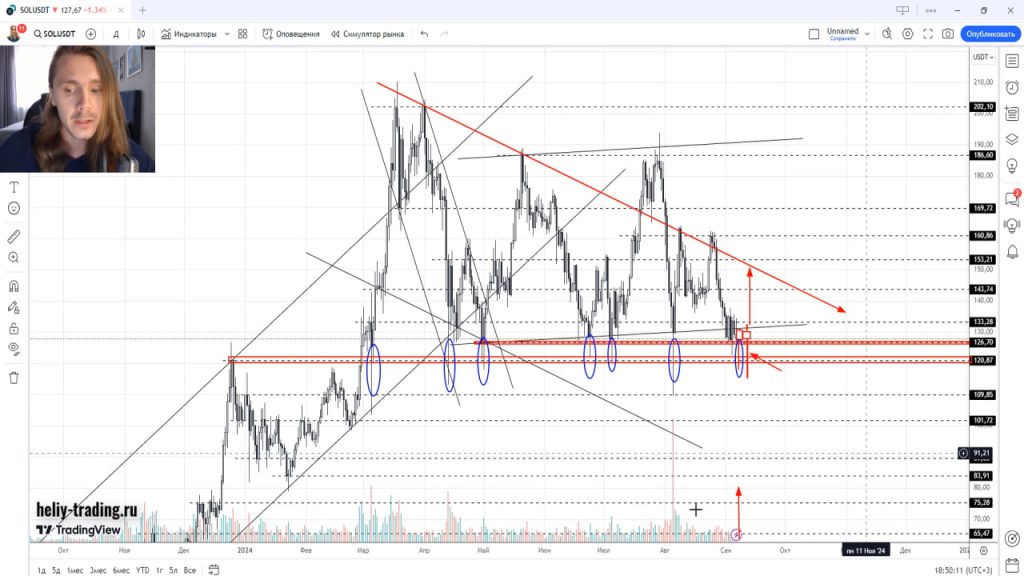 Прогноз криптовалюты, акций, форекс на 9 — 13 сентября 2024