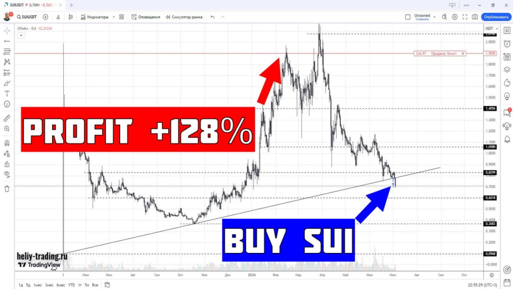 Обучение трейдингу и инвестициям по криптовалюте SUI +128%