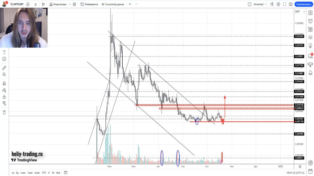 Прогноз криптовалюты, акций, форекс на 21 — 25 октября 2024