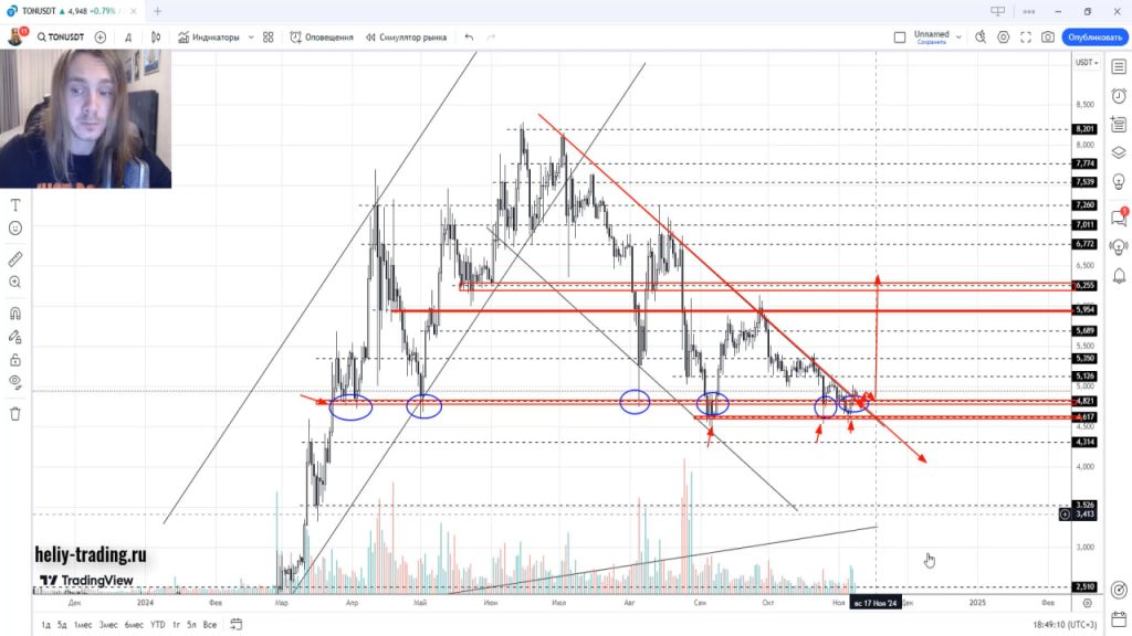 Прогноз криптовалюты, акций, форекс на 11 — 15 ноября 2024