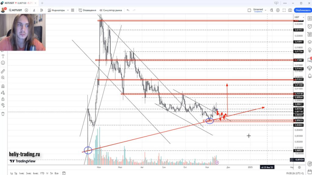 Прогноз криптовалюты, акций, форекс на 9 — 13 декабря 2024