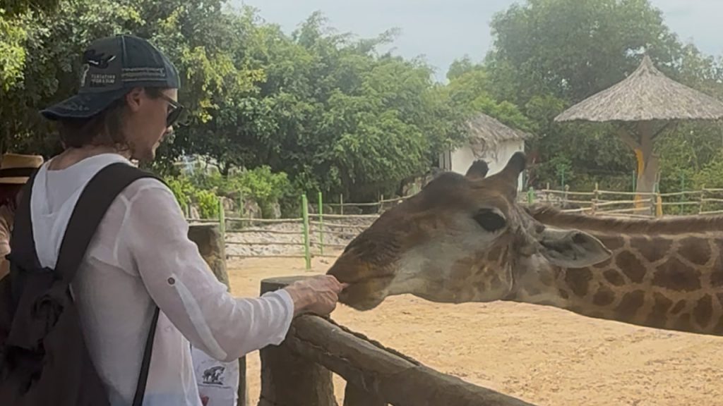 Аналитический трейдинг стрим 13 октября 2025