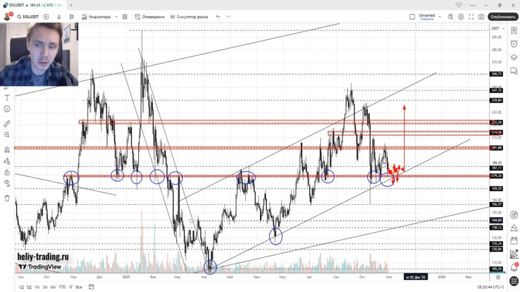 Прогноз Криптовалют и Форекс на 3 — 7 ноября 2025