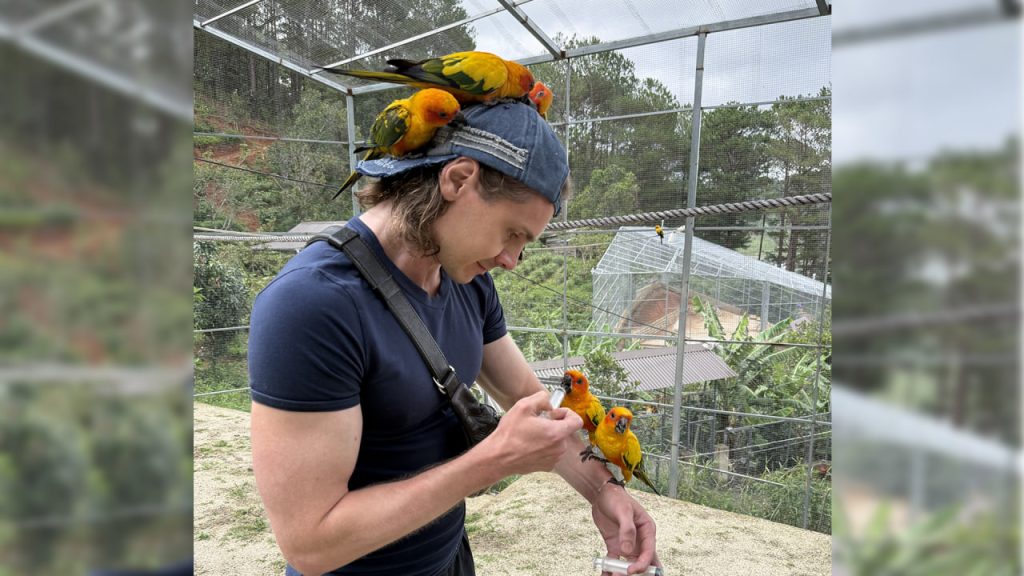 Аналитический трейдинг стрим 26 ноября 2025