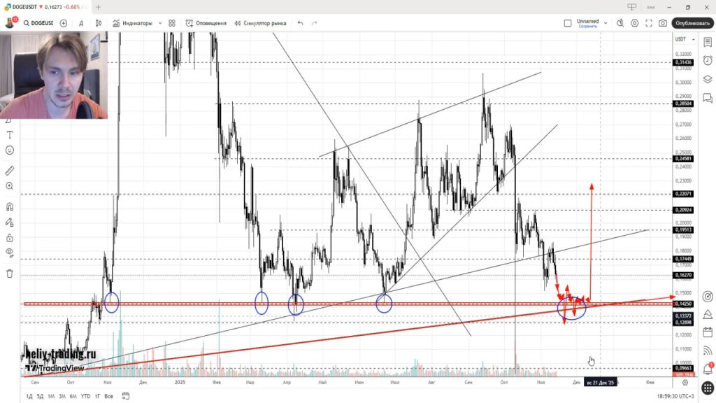 Прогноз Криптовалют и Форекс на 17 — 21 ноября 2025