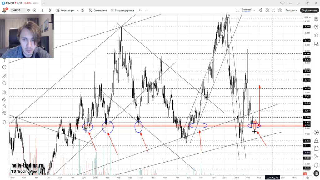 Прогноз Форекс и Криптовалюта на 16 — 20 февраля 2026