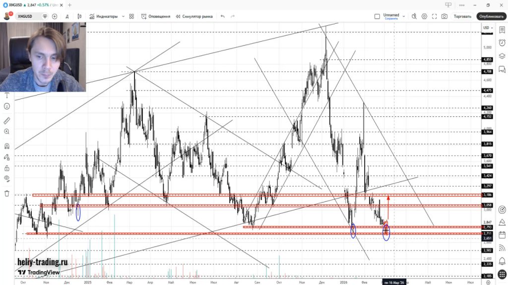Прогноз Форекс и Криптовалюта на 2 — 6 марта 2026